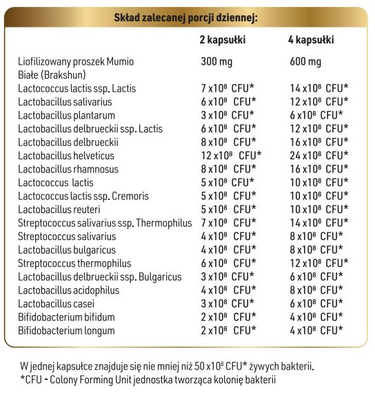 Tabela składników