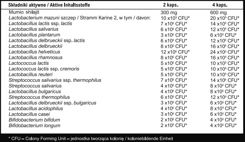 Tabela składników