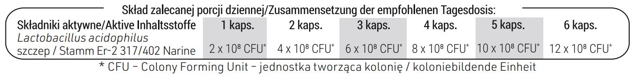 Tabela składników