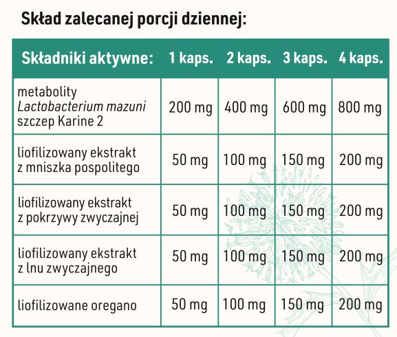 Tabela składników
